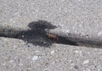 7 Mistakes Aucklanders Make When Choosing a Concrete Contractor