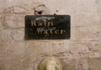 Blocked Drains in Auckland: Causes, Costs and Fixes