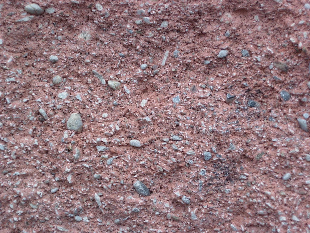 Exposed Aggregate vs Plain Concrete Driveways in Auckland