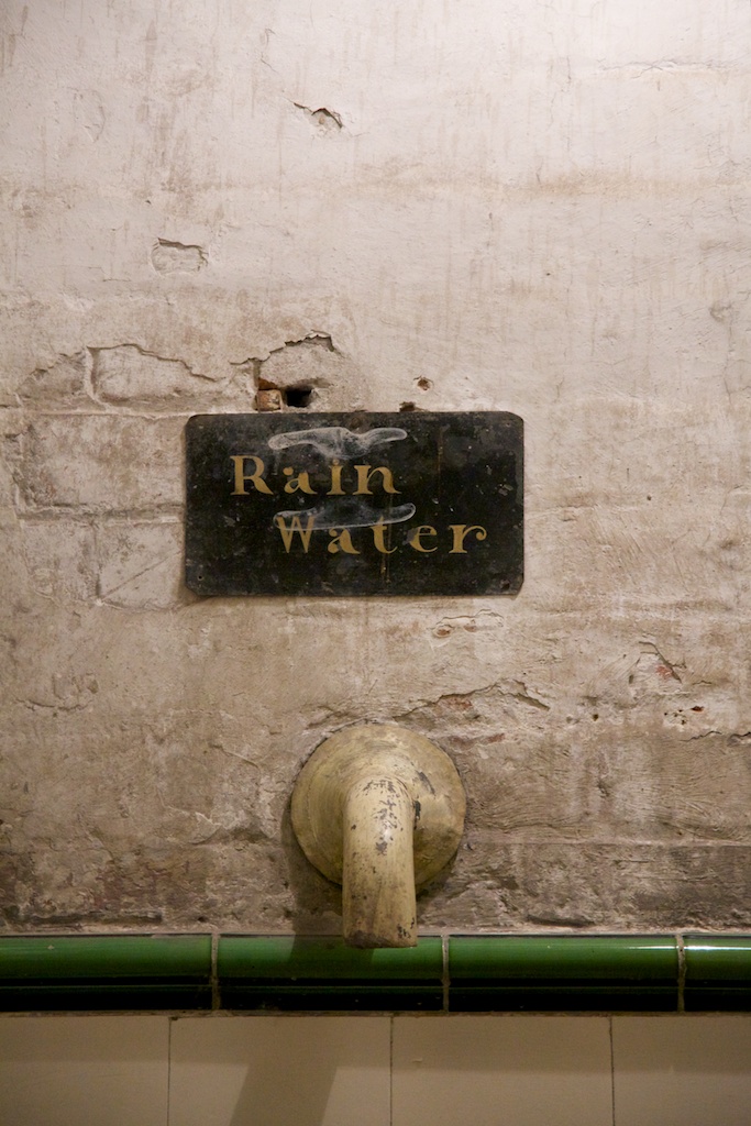 Hot Water Systems for Auckland Homes, Compared